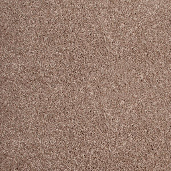 Barley 34