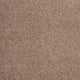 Barley 34 Distinction Supreme Carpet