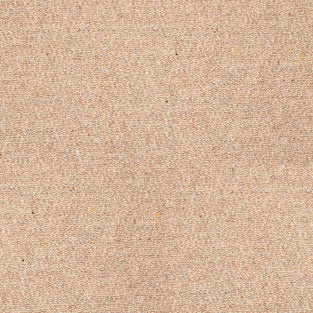 Stainfree Oakland Berber Carpet