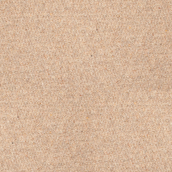Stainfree Barley Oakland Berber Carpet