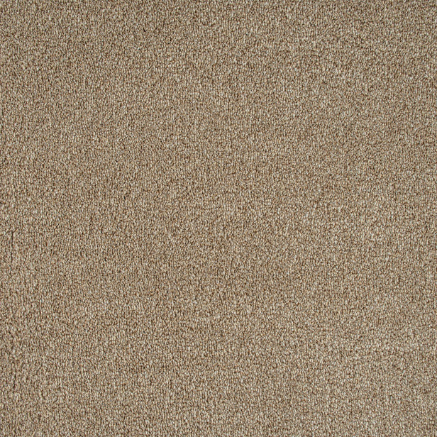 Beige Indiana Saxony Carpet 2.3m x 4m Remnant