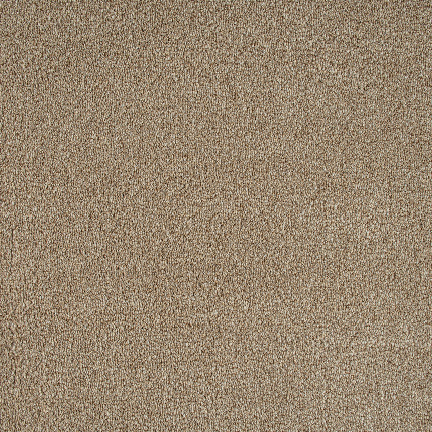 Beige Indiana Saxony Carpet 2.3m x 4m Remnant
