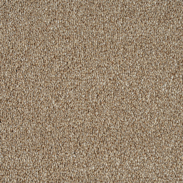 Beige Indiana Saxony Carpet