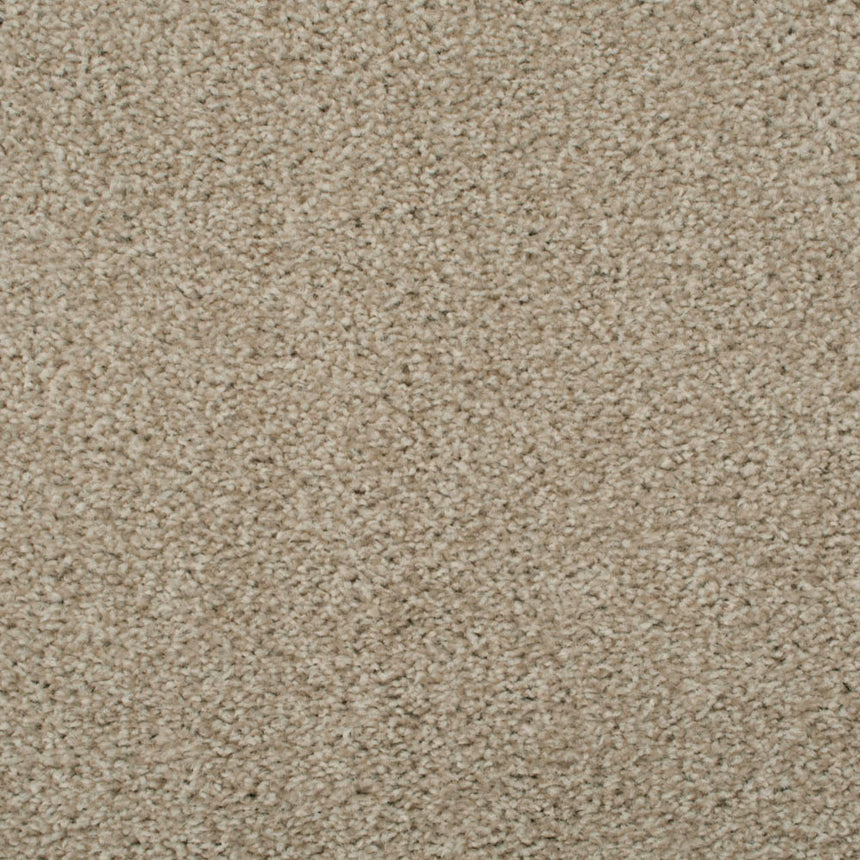 Oregon Saxony Carpet Buy Oregon Saxony Carpet Online Onlinecarpets