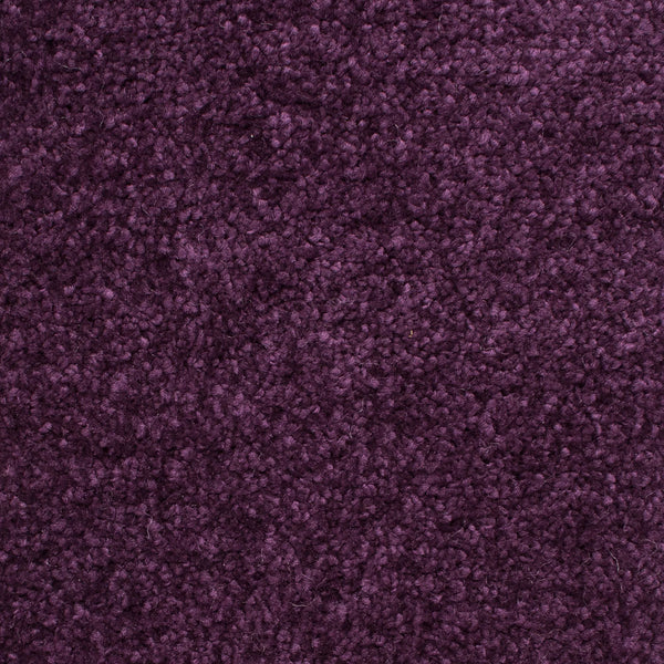 Damson 17 Bellaire Carpet
