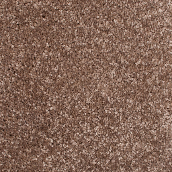 Ecru 37 Bellaire Carpet Buy Bellaire Carpet Online Onlinecarpets.co