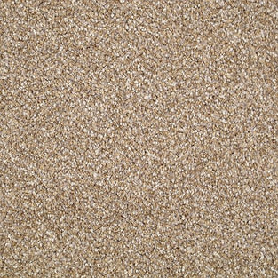 Stainfree Berber Deluxe Carpet
