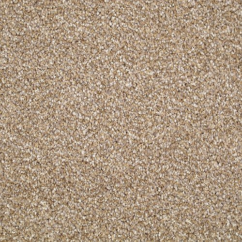 Biscuit Stainfree Berber Deluxe Carpet