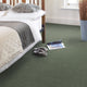 Fern Stainfree Berber Deluxe Carpet