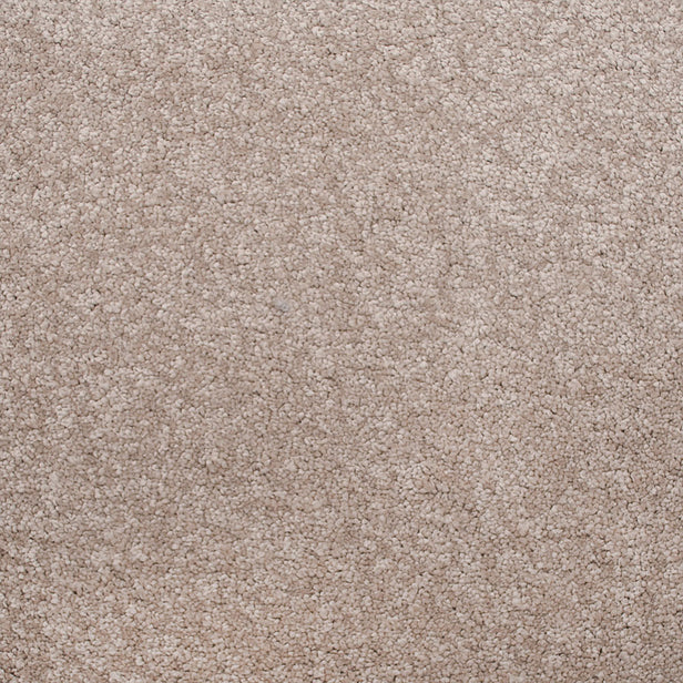 Stainfree Biscotti Amore Carpet