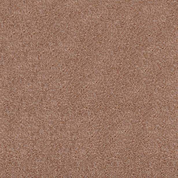 Biscuit 918 Dublin Heathers Carpet