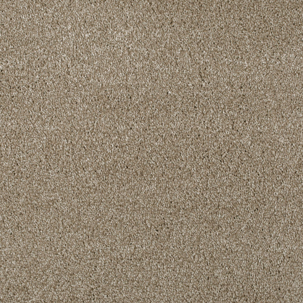Biscuit 92 Serano Elite Intenza Carpet