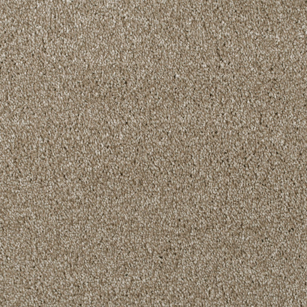 Biscuit 92 Serano Elite Intenza Carpet