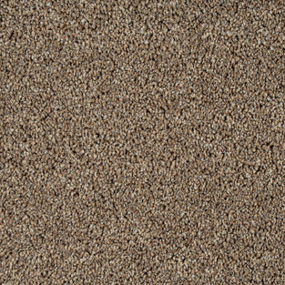 Blonde Oak 31 StainGuard Harvest Heathers Supreme Carpet