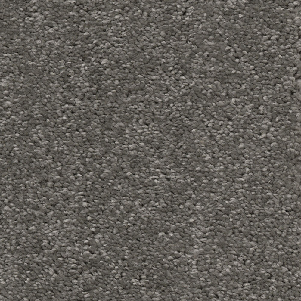 Graphite 96 Bellaire Carpet Buy Bellaire Carpet Online