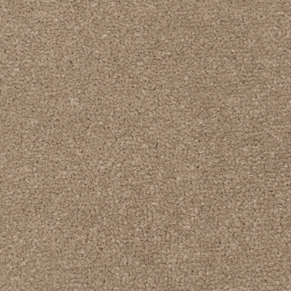 Boxwood Apollo Plus Carpet