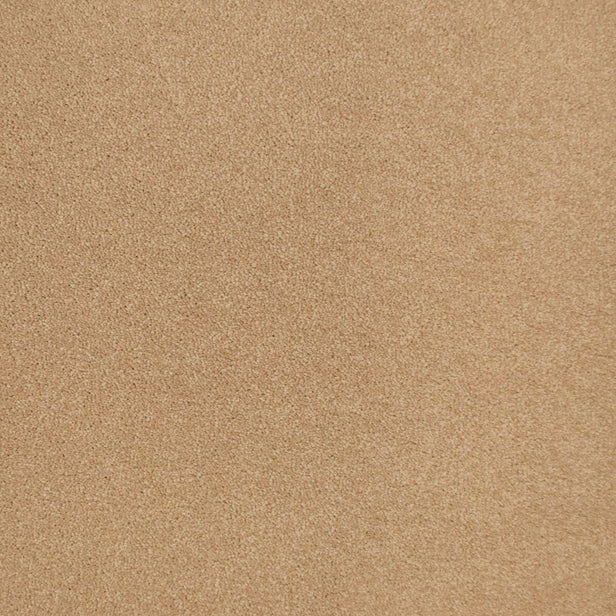 Breadstick 32 Sophistication Supreme Carpet Clearance