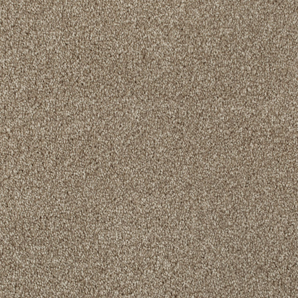 Brown 68 Hudson Carpet
