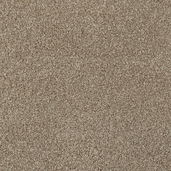Brown 68 Hudson Carpet