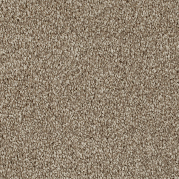 Brown 68 Hudson Carpet