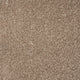 Brown Beige Liberty Heathers Carpet