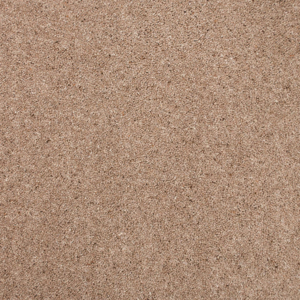Brown Stone 855 Elgin Twist Carpet