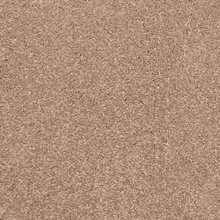 Brushed Cotton 700 Soft Noble Actionback Carpet