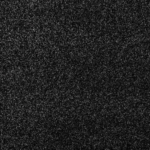 Buy Black Carpet Online Charcoal Carpet Online Carpets