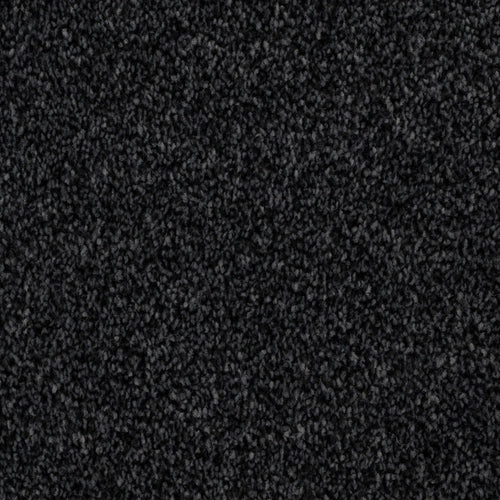 Buy Black Carpet Online Charcoal Carpet Online Carpets