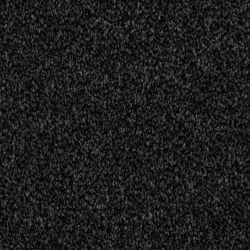Anthracite 79 Calais Carpet