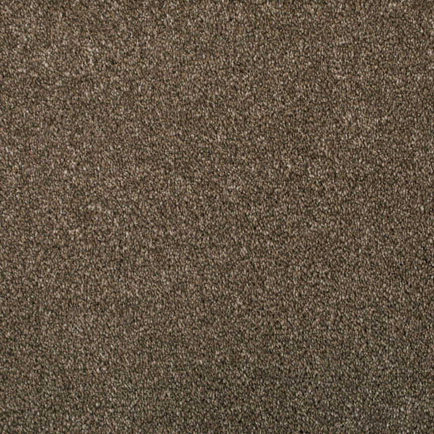 Toffee 91 Calais Carpet 2.3m x 5m Remnant