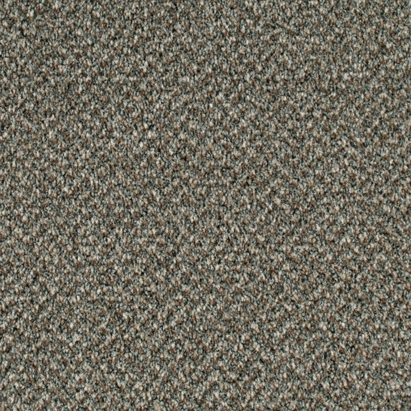 Calder 93 Stainaway Tweed Carpet