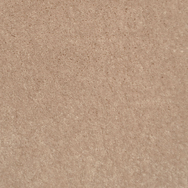 Camel 34 Splendour iSense Carpet