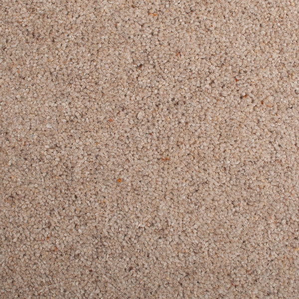 Camel 6 New Forest 38oz Carpet Buy Wool Mix Carpet OnlineCarpets.co.uk Online Carpets