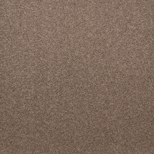 Soft Brown