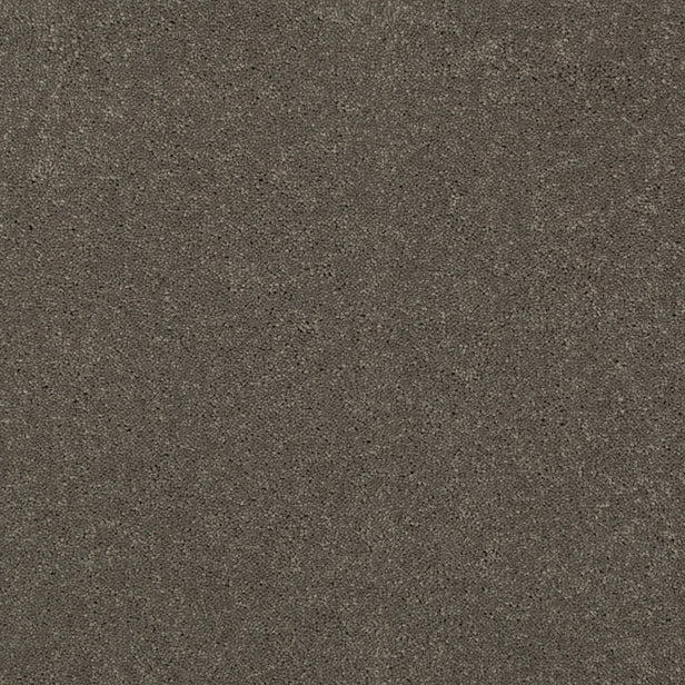 Carbon 79 Ultimate Twist Intenza Carpet