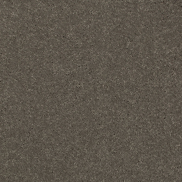 Carbon 79 Ultimate Twist Intenza Carpet