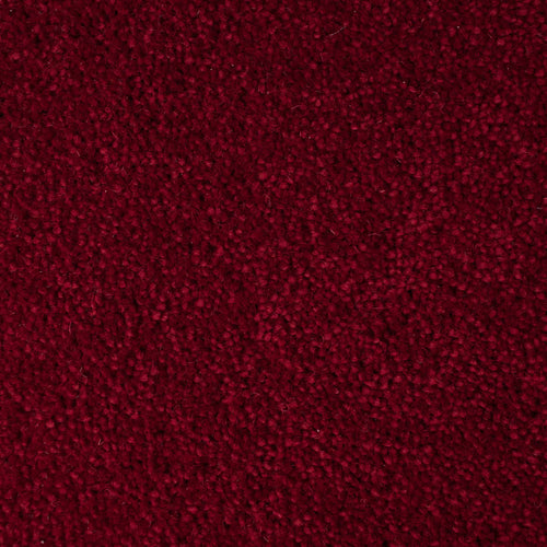 Cardinal 50oz Home Counties Carpet