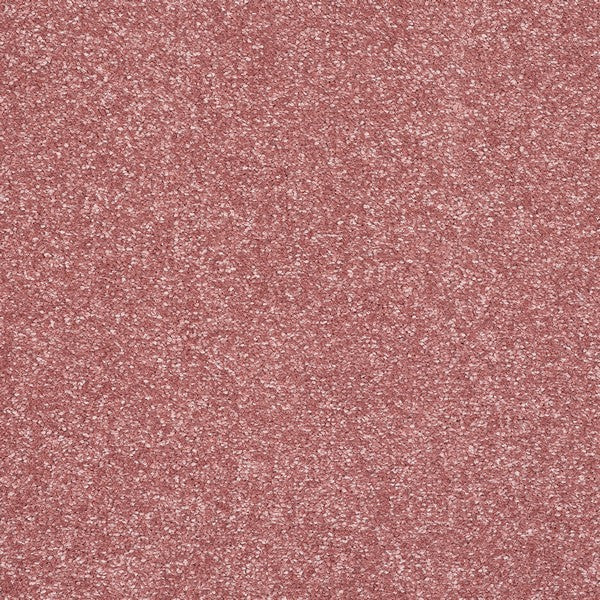 Pink Whisper Stainfree Caress Carpet