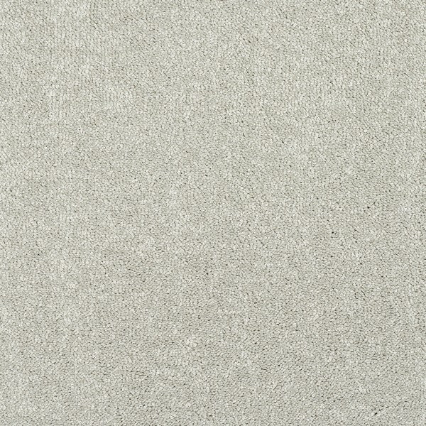 Suede Stainfree Caress Carpet Abingdon Carpets Online Carpets