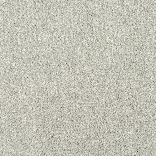Suede Stainfree Caress Carpet