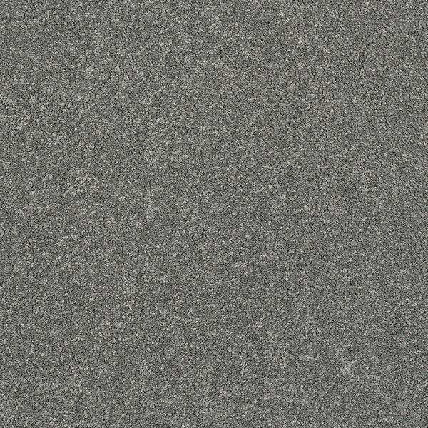 Titanium Stainfree Caress Carpet