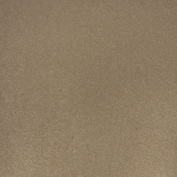 Cashew Apollo Plus Carpet