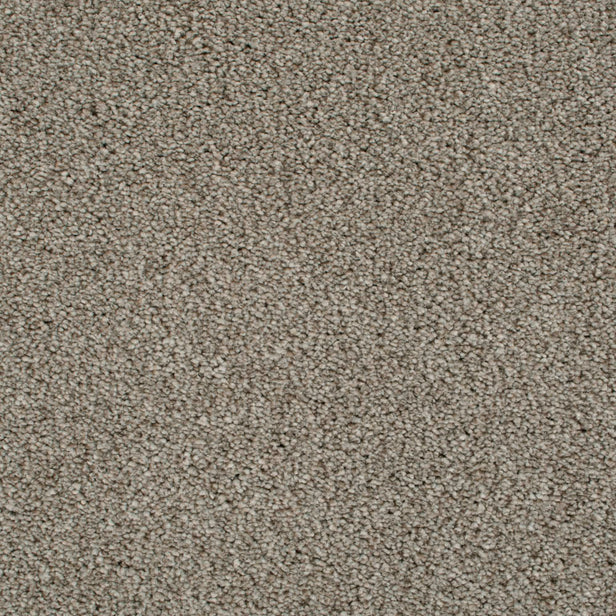 Highgate 09 Cassius 70oz Heathers Invictus Carpet Clearance