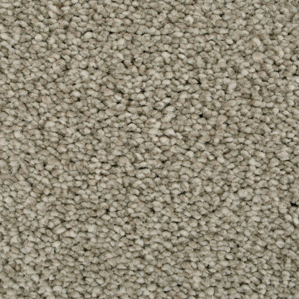 Lilylock 29 Cassius 70oz Heathers Invictus Carpet