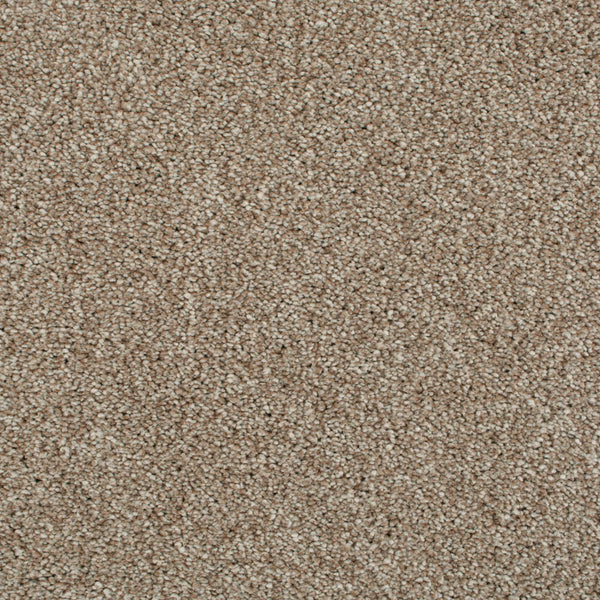Acacia 34 Cassius 70oz Invictus Carpet Buy Cassius 70oz Invictus
