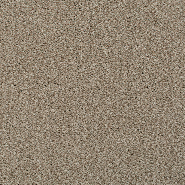Soya 37 Cassius 70oz Heathers Invictus Carpet Clearance
