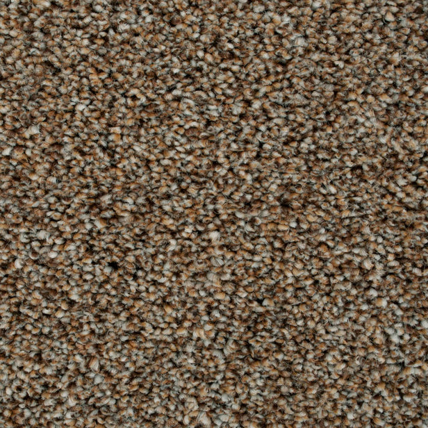Okra 38 Cassius 70oz Heathers Invictus Carpet 4.6m x 5m Remnant