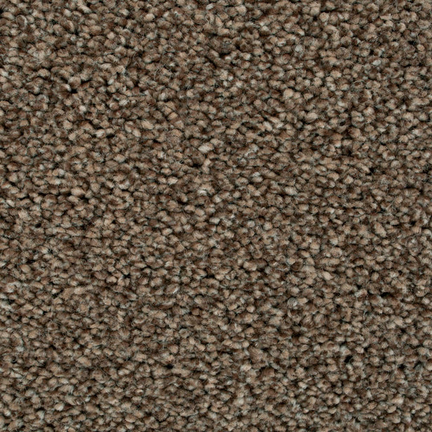 Nova 40 Cassius 70oz Heathers Invictus Carpet Clearance