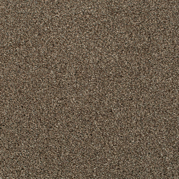 Nova 40 Cassius 70oz Heathers Invictus Carpet Clearance